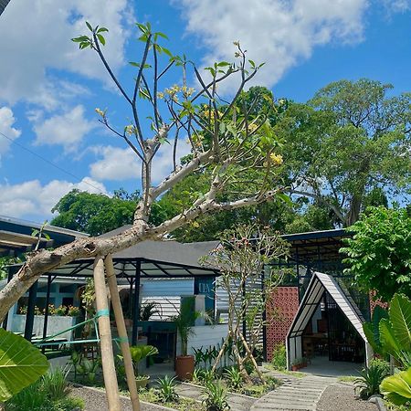 The Jungle Hostel Canggu Exterior foto